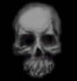 skull_front.jpg (2617 bytes)